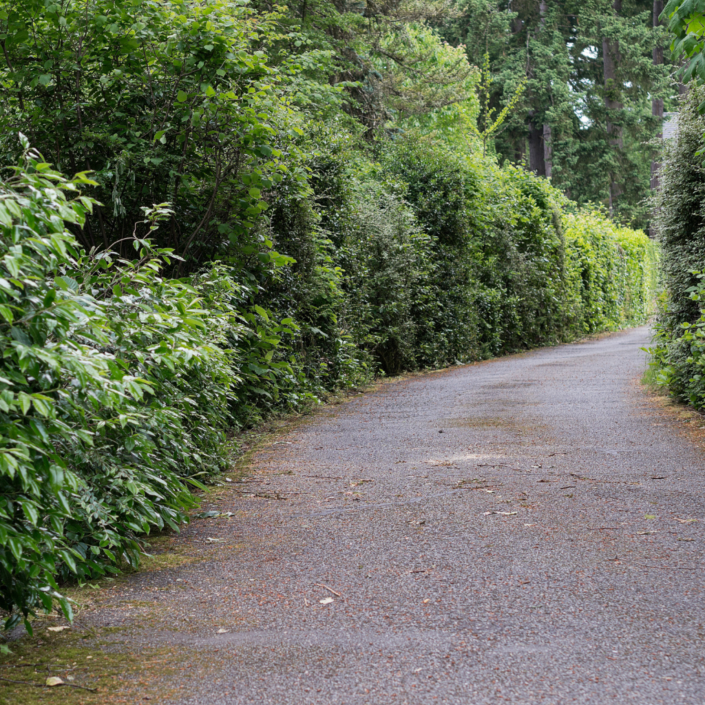 Quality Tarmaced Driveway by WCD Deeside driveway company